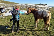 CIMA GREM (2049 m) con neve novembrina ad anello dal Colle di Zambla (Santella) il 28 novembre 2018 - FOTOGALLERY